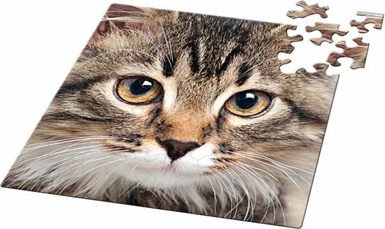 Curiosi Q-puzzel (extra Moeilijk) - Kat (66 Stukjes) 4 Curiosi Q-puzzel (extra Moeilijk) - Kat (66 Stukjes) - Afbeelding 2