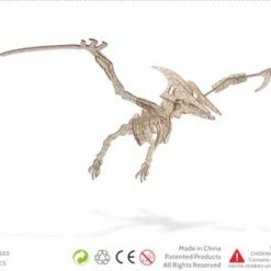 De Bouwplaats Bouwpakket 3D Puzzel Pterosaurus Dino Dinosaurus - Hout -Puzzels Verkoopwinkel 550x330 2
