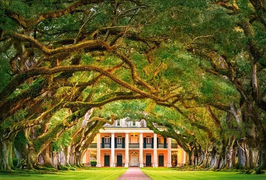 Castorland Oak Alley Plantation - 1000 Stukjes 4 Castorland Oak Alley Plantation - 1000 Stukjes - Afbeelding 2
