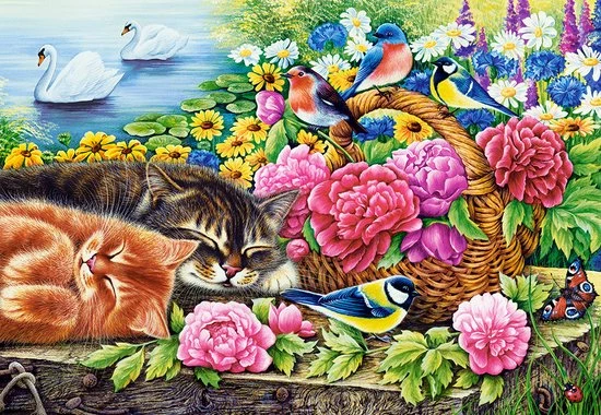Castorland Lazy Sunday Legpuzzel 1000 Stuk(s) Dieren 4 Castorland Lazy Sunday Legpuzzel 1000 Stuk(s) Dieren - Afbeelding 2