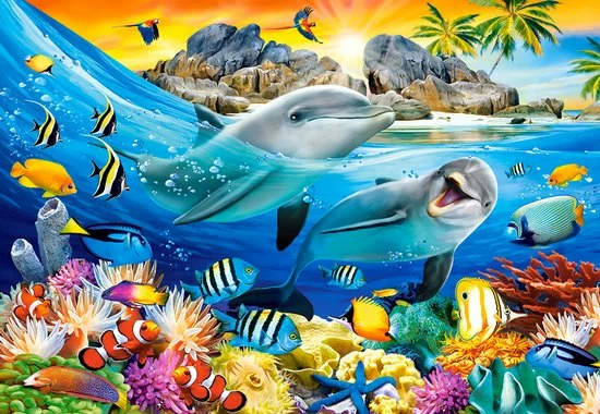 Castorland Dolphins In The Tropics - 1000pcs 4 Castorland Dolphins In The Tropics - 1000pcs - Afbeelding 2