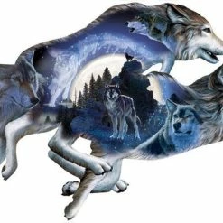 Legpuzzel - Contourpuzzel - 1000 Stukjes - Moonlight Warrior - SunsOut Puzzel