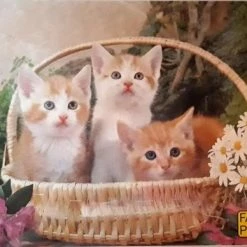 Merkloos Dieren Puzzel 25 Stukjes Poesjes In Mandje