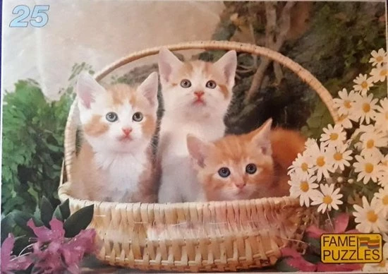 Merkloos Dieren Puzzel 25 Stukjes Poesjes In Mandje 3 Merkloos Dieren Puzzel 25 Stukjes Poesjes In Mandje