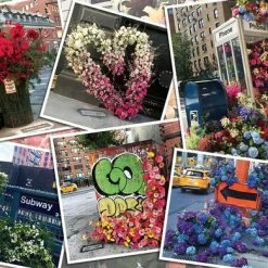 Ravensburger Puzzel NYC Bloemenpracht - Legpuzzel - 1000 Stukjes 7 Ravensburger Puzzel NYC Bloemenpracht - Legpuzzel - 1000 Stukjes -Puzzels Verkoopwinkel 550x390 15