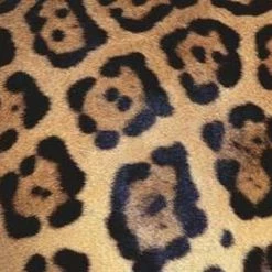 Ravensburger Puzzel Challenge Animal Print - Legpuzzel - 1000 Stukjes -Puzzels Verkoopwinkel 550x391 33