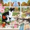 Otter House Its Cold Outside Puzzel 1000 Stukjes -Puzzels Verkoopwinkel 550x392 34