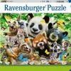 Ravensburger Puzzel 300 Stukjes Wildlife Selfie -Puzzels Verkoopwinkel 550x392 7