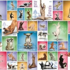 Eurographics Puzzel Yoga Dogs - 1000 Stukjes 10 Eurographics Puzzel Yoga Dogs - 1000 Stukjes -Puzzels Verkoopwinkel 550x396 4