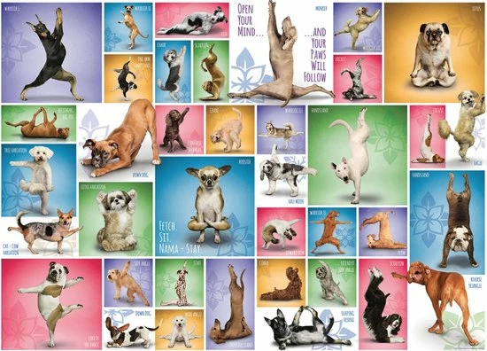 Eurographics Puzzel Yoga Dogs - 1000 Stukjes 6 Eurographics Puzzel Yoga Dogs - 1000 Stukjes - Afbeelding 4