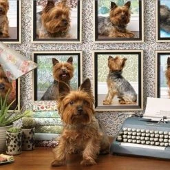 Cobble Hill Yorkshires Zijn Mijn Type Puzzel Van 1000 Stukjes