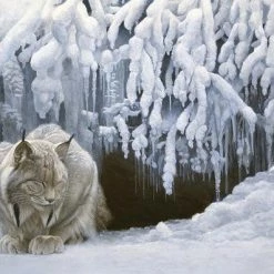 Cobble Hill: Dozing Lynx - Robert Bateman (1000) Legpuzzel