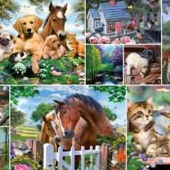 Puzzels Verkoopwinkel -Puzzels Verkoopwinkel 550x397 34