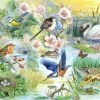 House Of Puzzles Feathered Friends Puzzel 250 Stukjes XL -Puzzels Verkoopwinkel 550x398 15