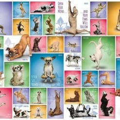 Eurographics Puzzel Yoga Dogs - 1000 Stukjes 9 Eurographics Puzzel Yoga Dogs - 1000 Stukjes -Puzzels Verkoopwinkel 550x401 1