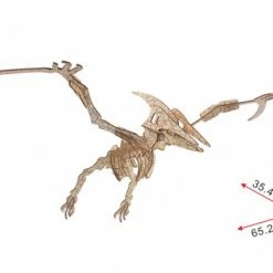 De Bouwplaats Bouwpakket 3D Puzzel Pterosaurus Dino Dinosaurus - Hout -Puzzels Verkoopwinkel 550x424 11