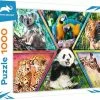 Trefl Puzzel 2 Trefl Puzzel -Puzzels Verkoopwinkel 550x429 2