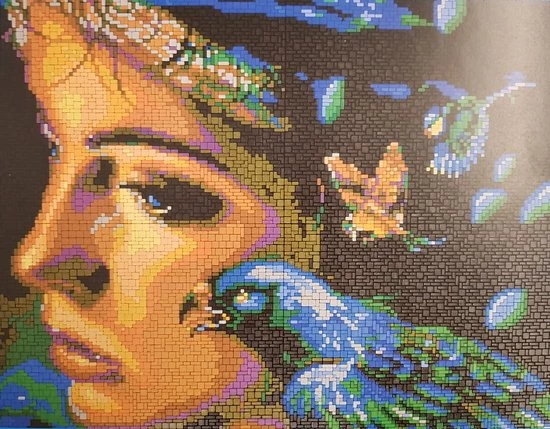 Stick-it Droomvrouw, Ca. 8.100 Steentjes, Compatibel Met Ministeck 4 Stick-it Droomvrouw, Ca. 8.100 Steentjes, Compatibel Met Ministeck - Afbeelding 2