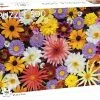 Tactic Legpuzzel Garden Flowers 31 X 37 Cm Karton 500 Stukjes -Puzzels Verkoopwinkel 550x436 6