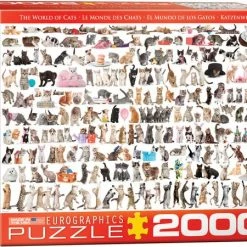 Eurographics The World Of Cats (2000)
