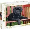 Clementoni - High Quality Collection Puzzel - The Black Dog - 500 Stukjes -Puzzels Verkoopwinkel 550x464 2