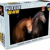 PuzzleWow Puzzel Paarden - Dieren - Portret - Bruin - Legpuzzel - Puzzel 500 Stukjes - Sinterklaas Cadeautjes - Sinterklaas Voor Grote Kinderen -Puzzels Verkoopwinkel 550x493