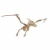 De Bouwplaats Bouwpakket 3D Puzzel Pterosaurus Dino Dinosaurus - Hout -Puzzels Verkoopwinkel 550x546 9