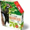 I AM - MaddCapp I AM 300 Puzzle: WOODPECKER 35.56x73.66cm, 300pcs, In Doos 17.78x21.59x6.35cm, Madd Capp Puzzle, 10+ -Puzzels Verkoopwinkel 550x572 4