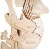 De Bouwplaats 3D Puzzel Bouwpakket Koala- Hout -Puzzels Verkoopwinkel 550x710