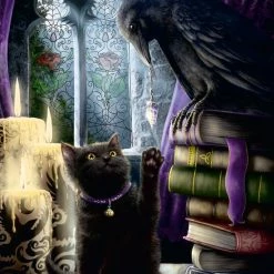 Ravensburger Puzzel Zwarte Kat En Raaf - Legpuzzel - 500 Stukjes -Puzzels Verkoopwinkel 550x749