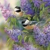 Chickadees And Lilacs Cobble Hill 1000 1 Chickadees And Lilacs Cobble Hill 1000 -Puzzels Verkoopwinkel 550x760 4