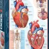 Eurographics Puzzel The Heart - 1000 Stukjes -Puzzels Verkoopwinkel 550x761 1