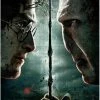 SD Toys Harry Potter Vs Voldemort Puzzel -Puzzels Verkoopwinkel 550x768 2