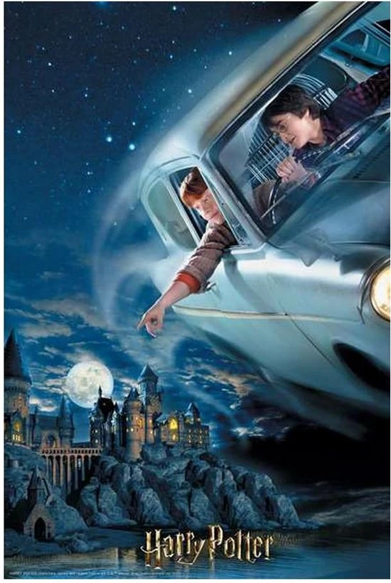 3D Puzzel Harry Potter & Ron Prime3D (300 Pcs) 4 3D Puzzel Harry Potter & Ron Prime3D (300 Pcs) - Afbeelding 2