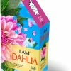 I AM - MaddCapp I AM 350 Puzzle: DAHLIA 35,56x60,96cm, 350pcs, In Doos, Madd Capp Puzzle, 10+